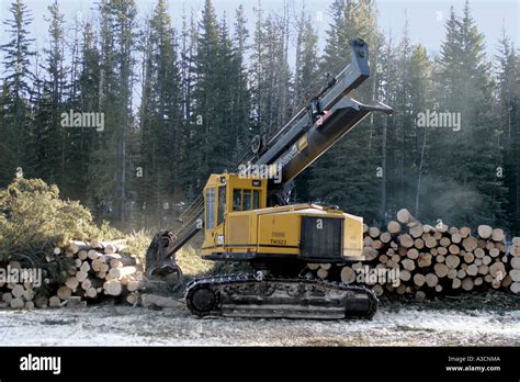 Logging industry Stock Photo - Alamy