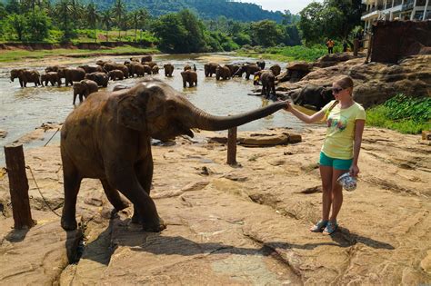 Шри-Ланка достопримечательности: топ 10 — что обязательно стоит ...