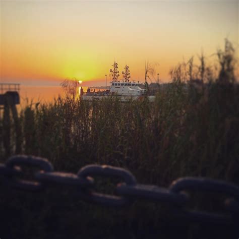 People are searching for who got busted mobile al on Facebook 18