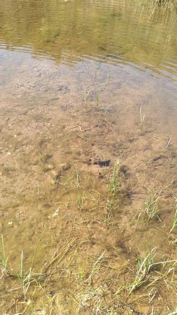 Aww Its Too Darn Hot Its Too Darn Hot A Very Warm Walk From Alportel