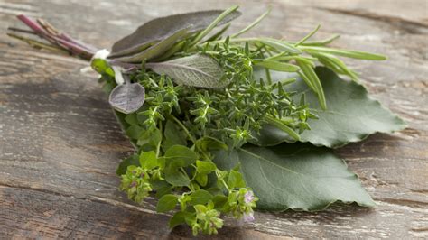 O Que São Ervas Finas - Ervas finas e ervas de provence: entenda a diferença - Premier Temperos