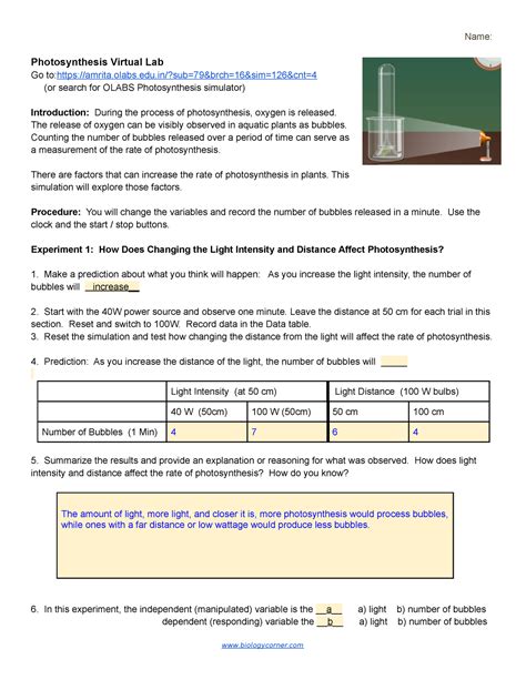 Biology Photosynthesis Lab