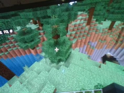 I found a seed that spawns you by this thing... : r/minecraftseeds