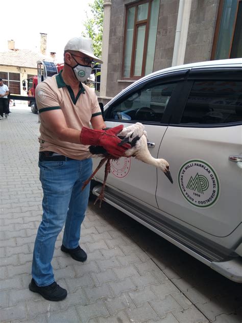 Konya Da Yuvas Ndan D En Yaral Yavru Leyle I Itfaiye Kurtard