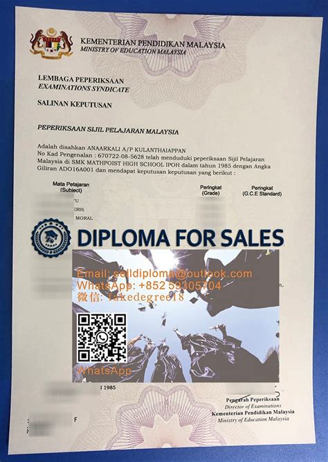 The Doable Ways To Buy A Fake Unisa Transcript Fake University Of