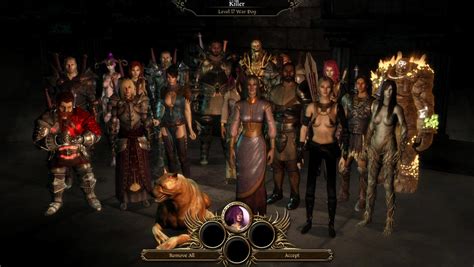 Dragon Age Origins Винн Realtynara