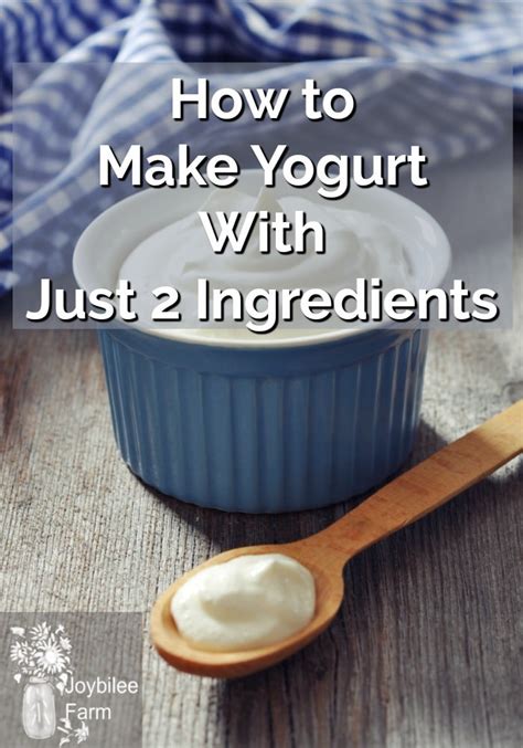 Churning Your Dreams Into Reality: A Step-By-Step Guide To Homemade Yogurt