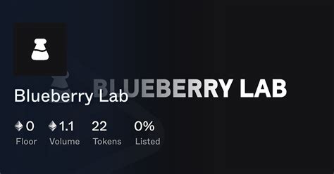Blueberry Lab Treasure Market