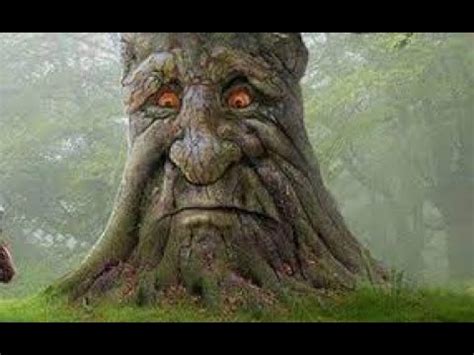 мудрый дуб - Dota 2 - YouTube