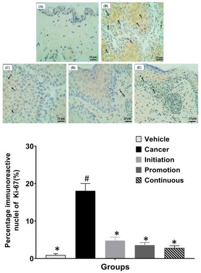 Chemopreventive Effects Of Oral Pterostilbene In Multistage