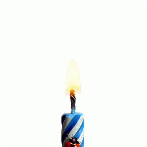 Virtual Birthday Candle GIFs | Tenor