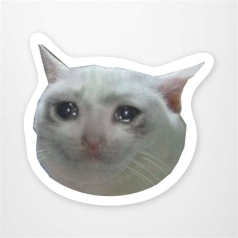 87 Meme Cat Crying