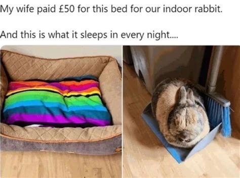 When You Re Trying To Titty Fuck Your Flat Chested Girlfriend Funny