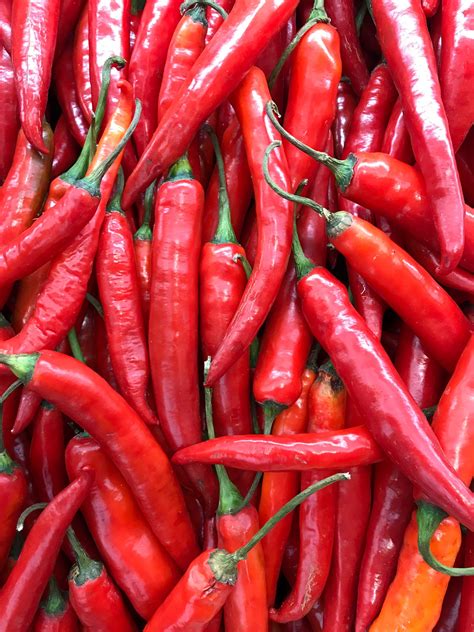 Cayenne Pepper Prevent Heart Attack Mdv