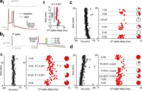 Figures And Data In Robust Perisomatic GABAergic Self Innervation