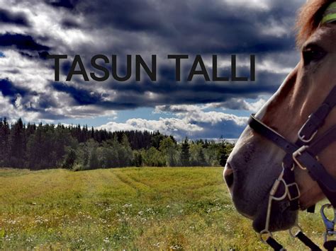 Tasun Talli | Kompero