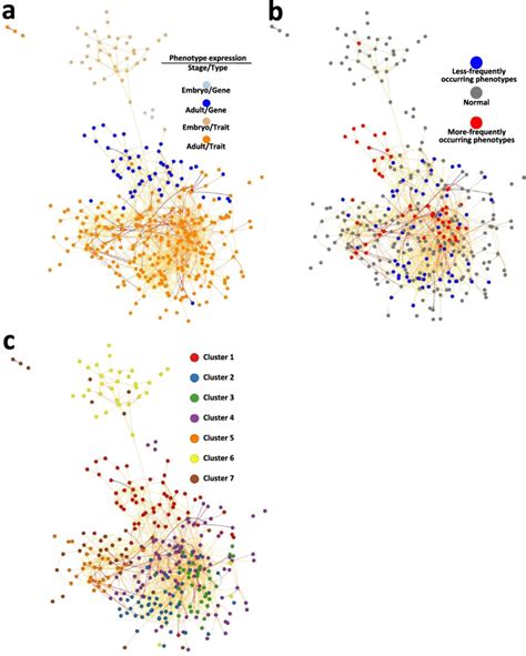 Landscape Of A Putative Phenotype Phenotype Association Pathway Across Download Scientific