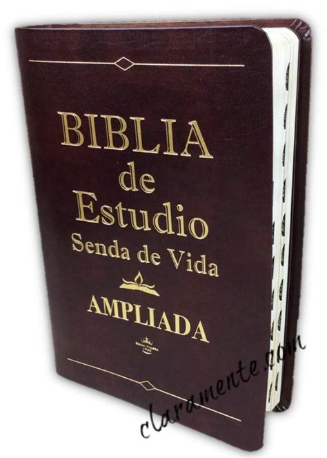 Senda De Vida 7