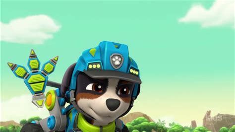 Rex PAW Patrol Wiki Fandom Baby Hippo Baby Whale Bernese Mountain