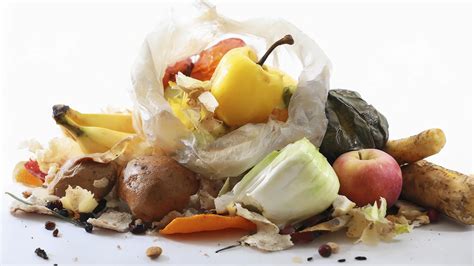 Reducing Food Waste Practical Solutions