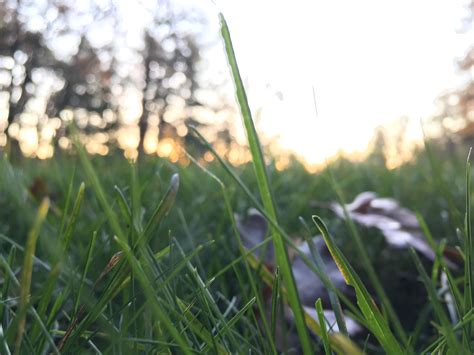 [Oh, Snap] A Quiet Corvallis Morning – The Bouncy Kitty