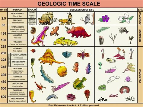 The Geologic Time Scale Geology 101 For Lehman College Cuny