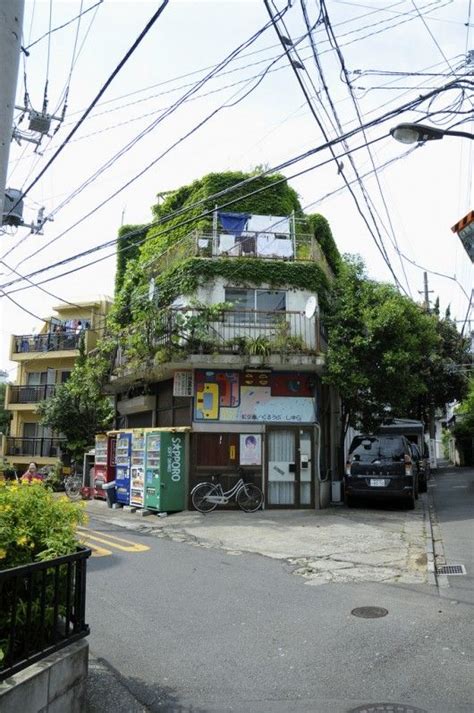 Beautifully Overgrown Japanese Buildings Japanese Streets Japanese