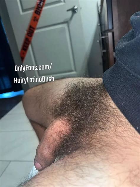 Hairy Cock On Toilet Nudes Insanelyhairymen NUDE PICS ORG