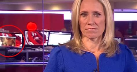 This Video Of Porn Playing In The Background Of A Bbc News Segment Has Gone Viral Worldwide And