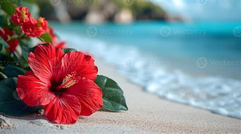 Red hibiscus flower on the beach with sea wave background. 44833055