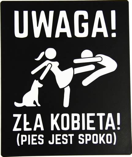 Tabliczka Uwaga Zła Kobieta Pies jest Spoko Czarna TAB 001 01 Cena