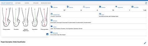 Github Rafah1walking Stride Classification