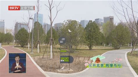 花开北京 向绿而行丨集齐全域特色春色美景 丰台区推出4条特色绿道北京时间