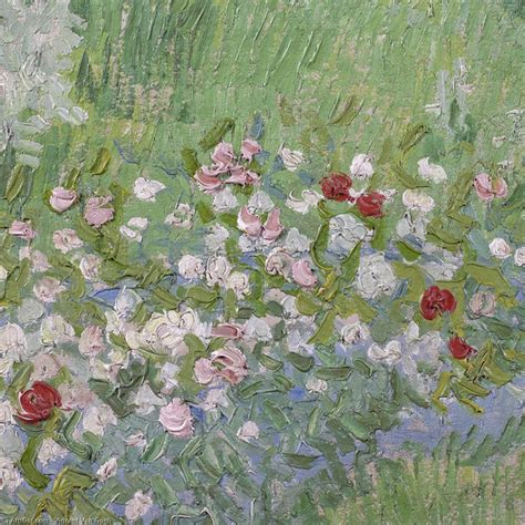 Art Reproductions Daubigny S Garden 3 By Vincent Van Gogh 1853 1890