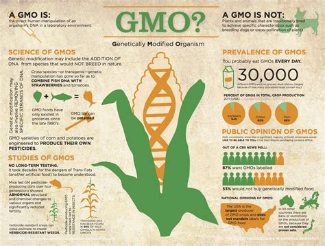 Interesting Infographic Gmo Facts Genetically Modified Food Gmo Foods