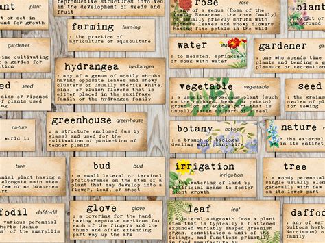 Printable Garden Themed Word Definitions Floral Junk Journal Etsy