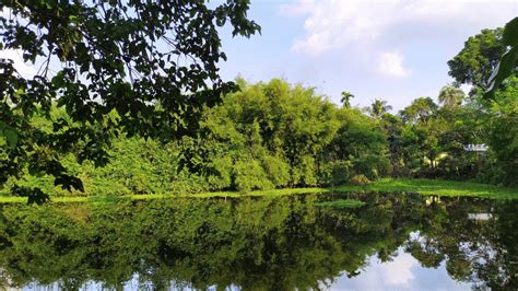 lalbagh botanical garden key attractions visitor guide