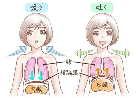 しゃっくりが止まらない…2日以上続くと病気かも！たばこが原因のことも｜病気スコープ