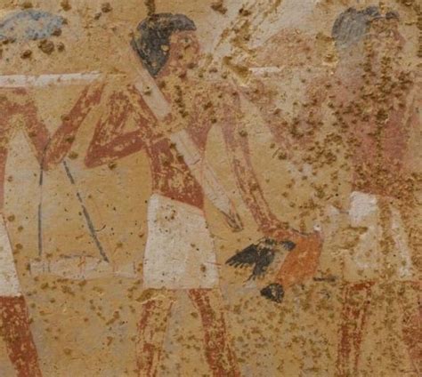 The 4,300-Year-Old Tomb of a Palace Official in Egypt