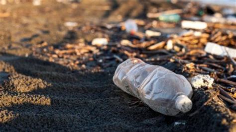 De frutas a plástico y pañales cuánto tarda la naturaleza en eliminar