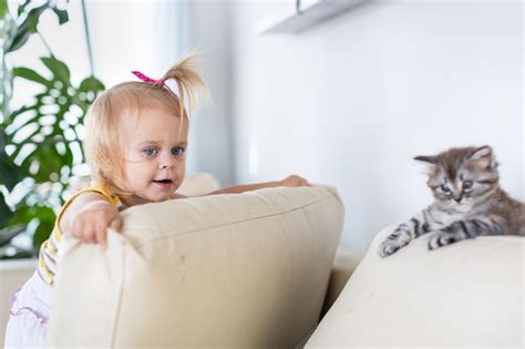 Bebé jugando con un gatito en el sofá Foto Premium