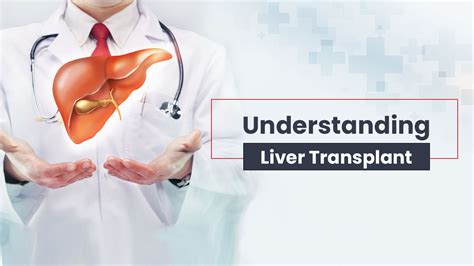 All You Need To Know About Liver Transplantation