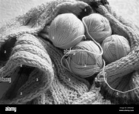 Knitting A Scarf Or Sweater From Gray And White Yarns Balls Of Woolen