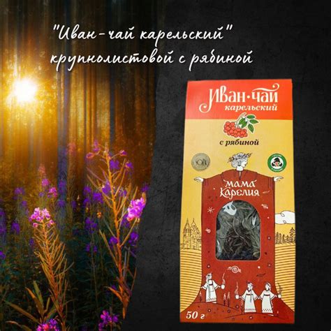 Иван-чай карельский с рябиной крупнолистовой - купить с доставкой по ...