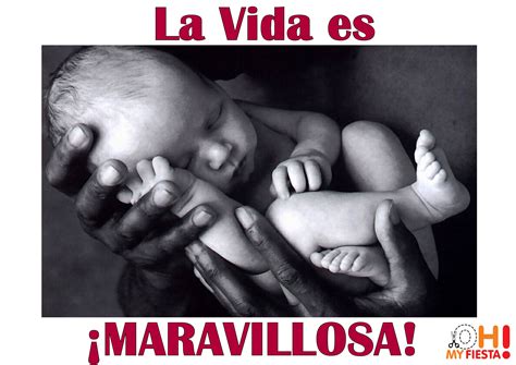 La vida es maravillosa. | Motivacion frases, La vida es maravillosa ...