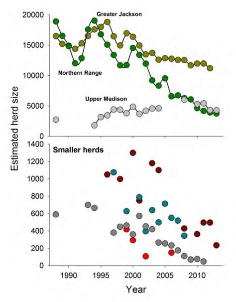 2 1 Trends In Size Of Elk Populations In Yellowstone S Occupied Download Scientific Diagram