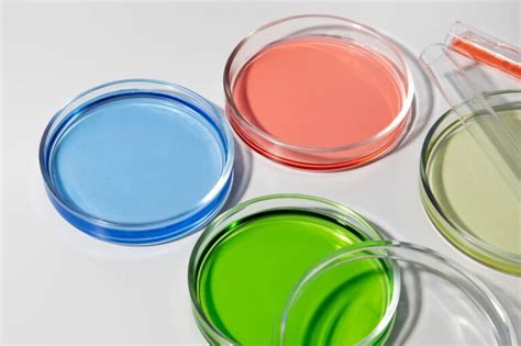 Biologia komórki - Genoplastbiotech.com