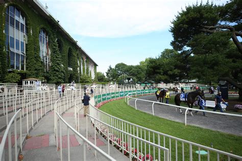 Belmont Stakes Capacity Cut Due to UBS Arena Changes