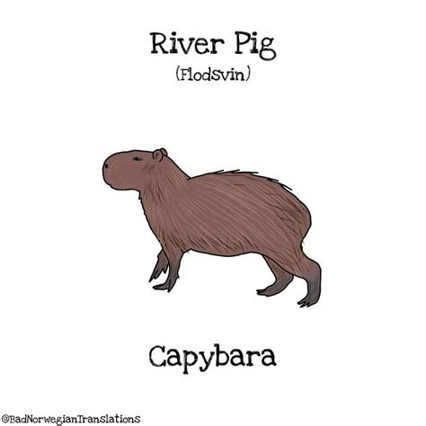 40 Brilliantly Literal Norwegian Words That Say Exactly What They Mean ...