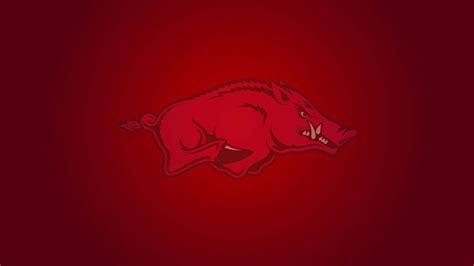 100 Arkansas Razorbacks Wallpapers Wallpapers